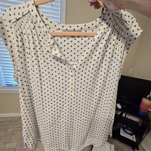 Daniel Rainn Ivory and Navy Dot Blouse